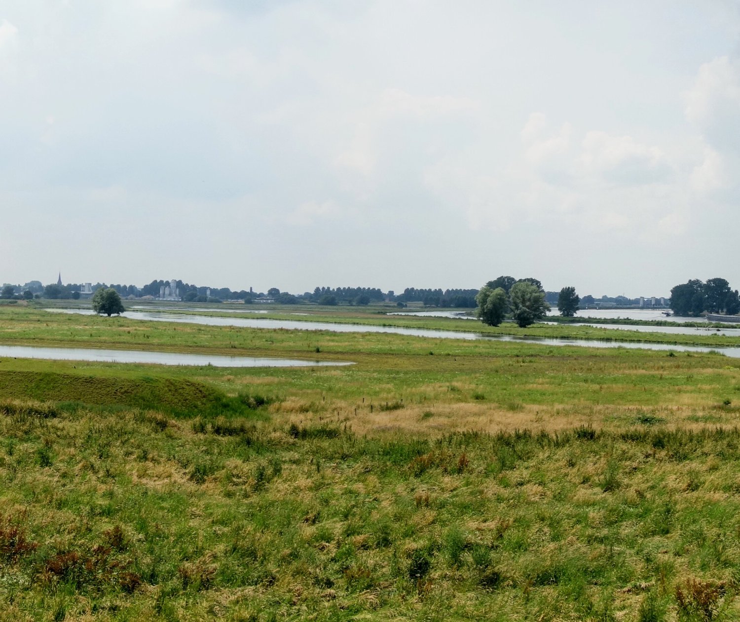 Het typische rivierenlandschap: uiterwaarden en rivieren overzicht uiterwaarden langs de Maas