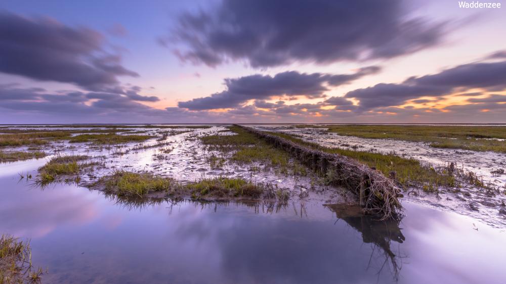 Waddenzee