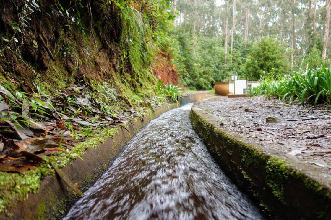 Levadas: de levensader voor de landbouw op Madeira Foto van levada