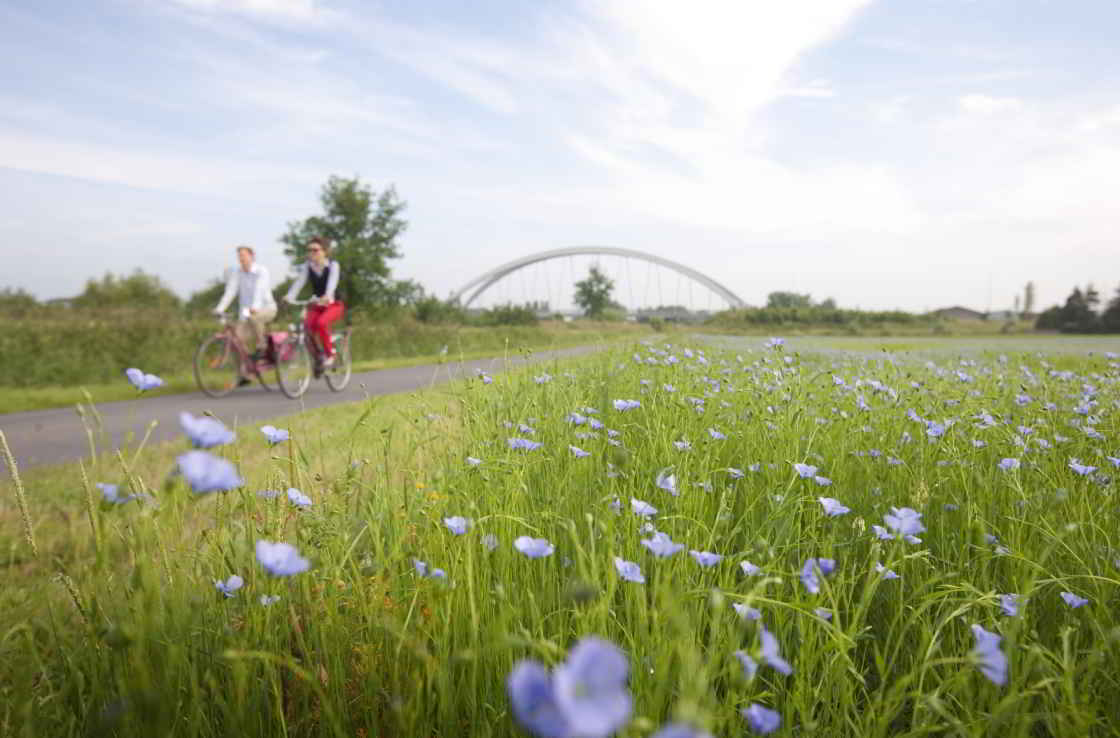 Fietsen in de Leiestreek Vergezicht & fietsers in de Leiestreek